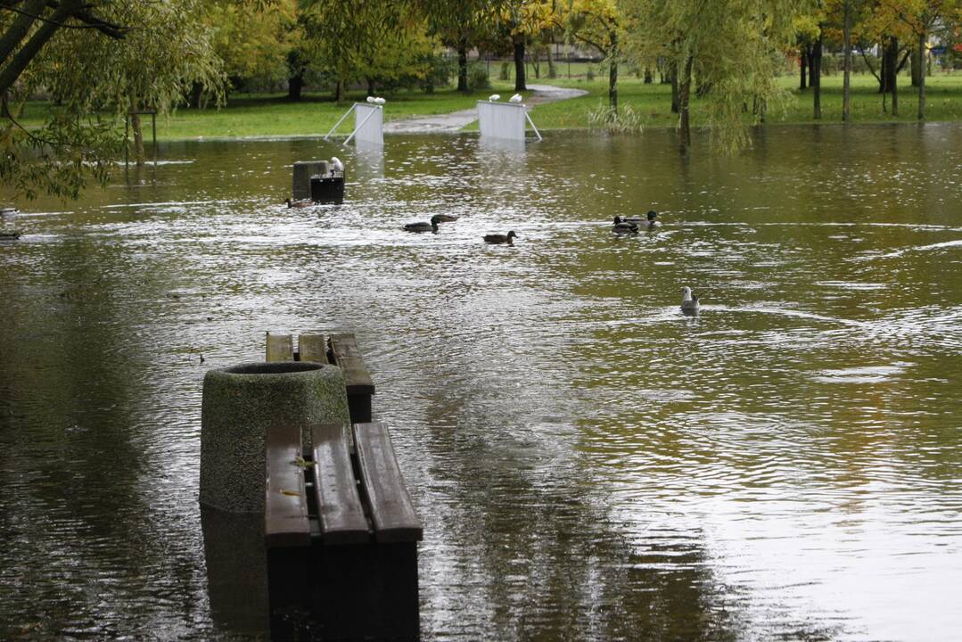 Į mokyklą – briste per vandenį