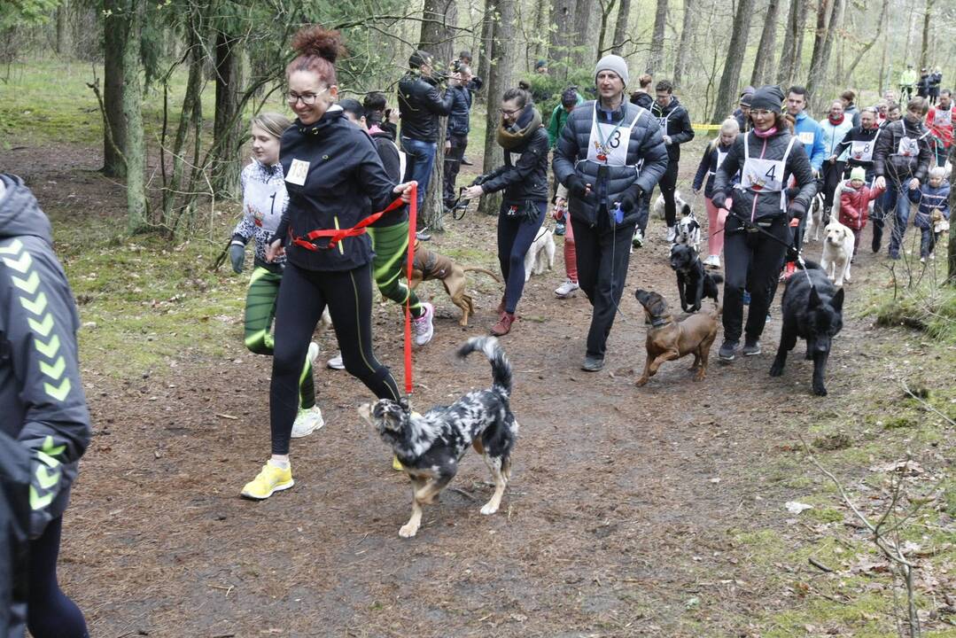 Šunų bėgimas Klaipėdoje