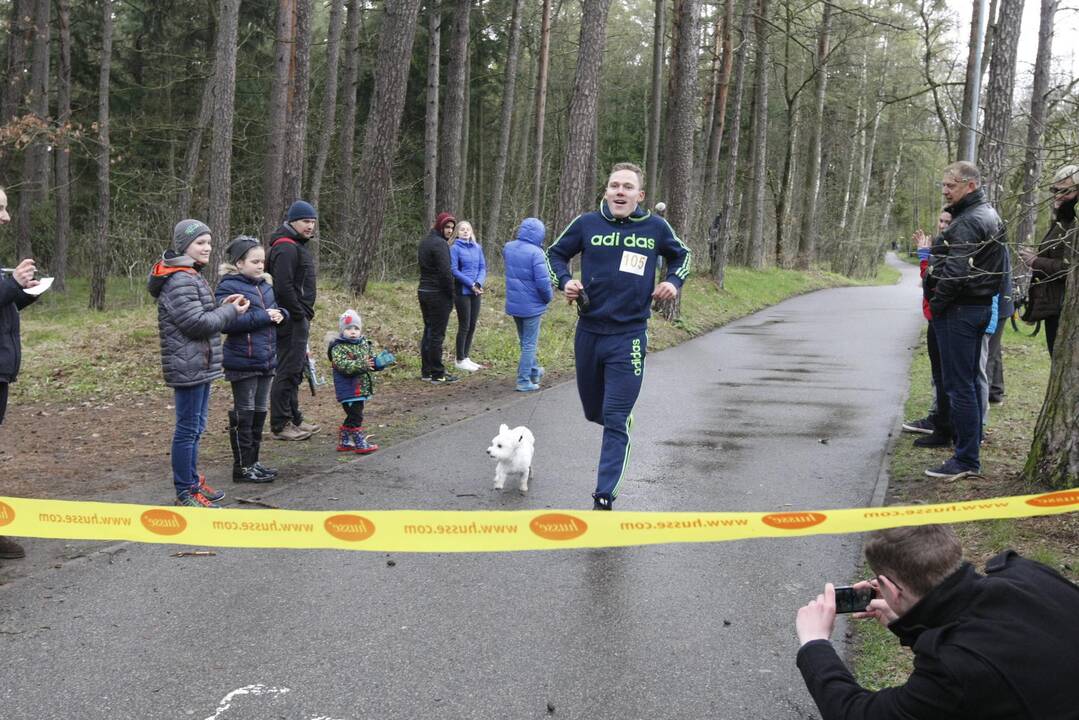 Šunų bėgimas Klaipėdoje