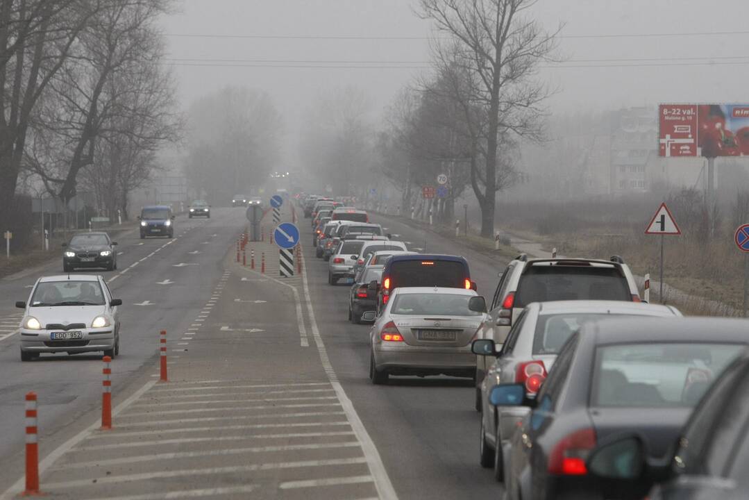 Palangoje prasidėjo tradicinė Stintų šventė