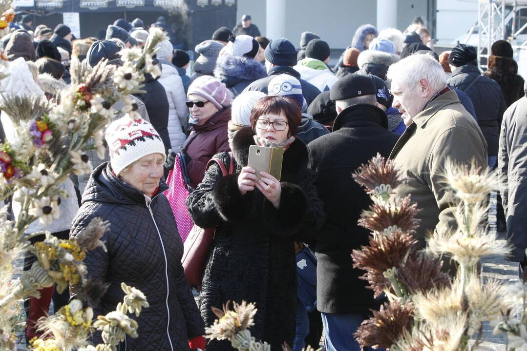 Kaziuko  mugė 2018 Klaipėda