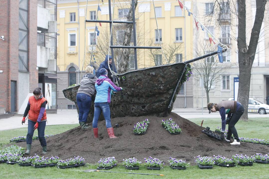 Klaipėdos miestui – madingi gėlynai