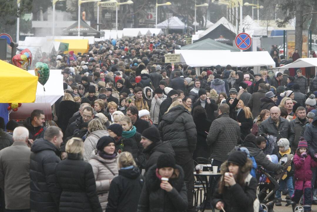 Palangoje prasidėjo tradicinė Stintų šventė