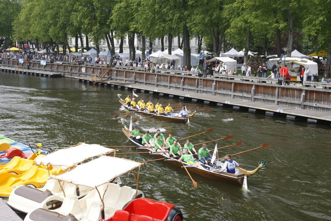 Laivų parade - pramogų vajus