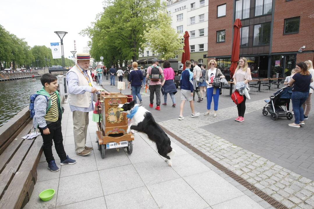 Uostamiestyje muzikos garsai liejasi laisvai