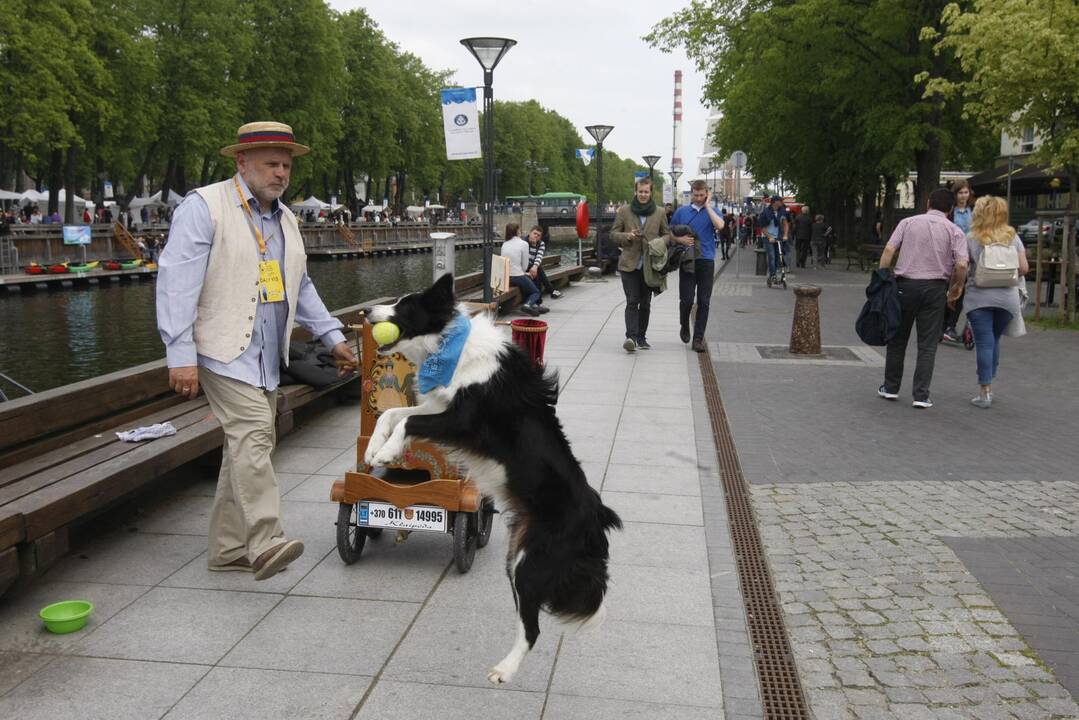 Uostamiestyje muzikos garsai liejasi laisvai