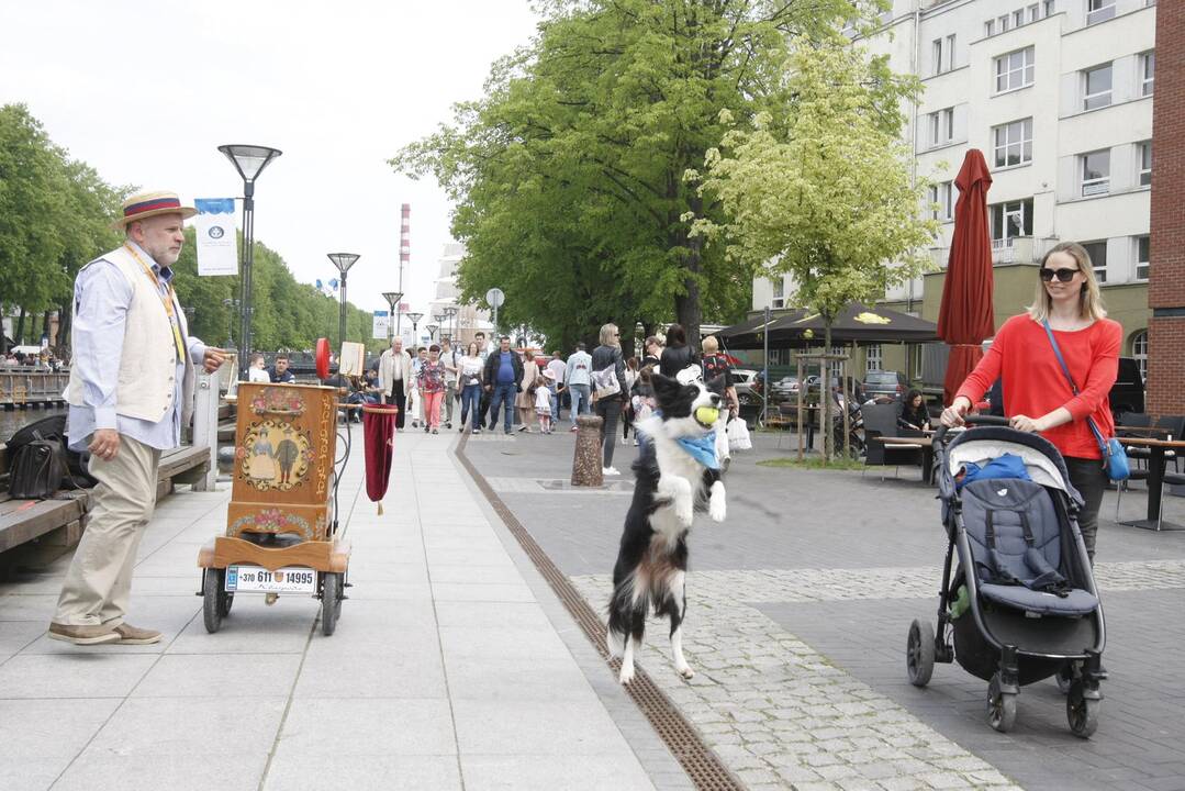 Uostamiestyje muzikos garsai liejasi laisvai