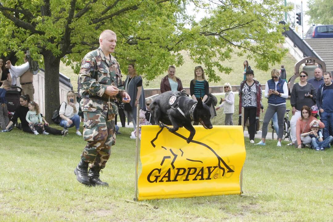 Laivų parade - pramogų vajus