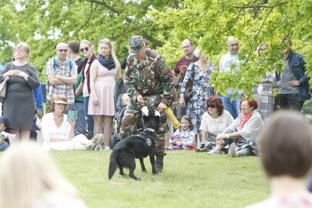 Laivų parade - pramogų vajus