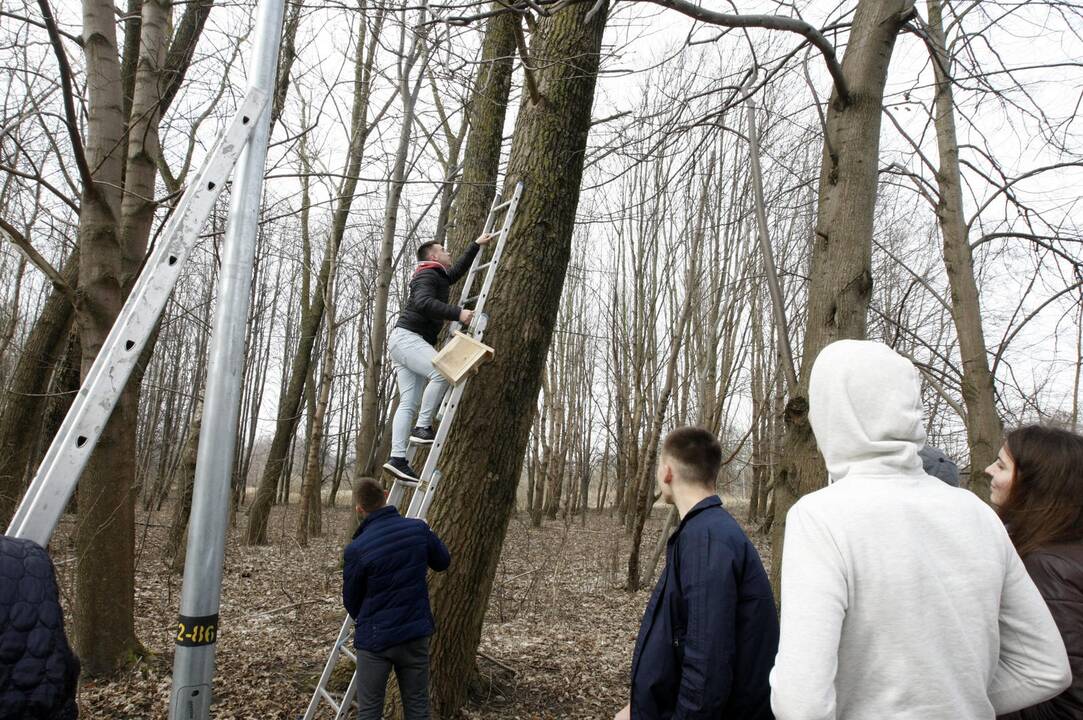 Klaipėdiečiai grąžina skolą gamtai