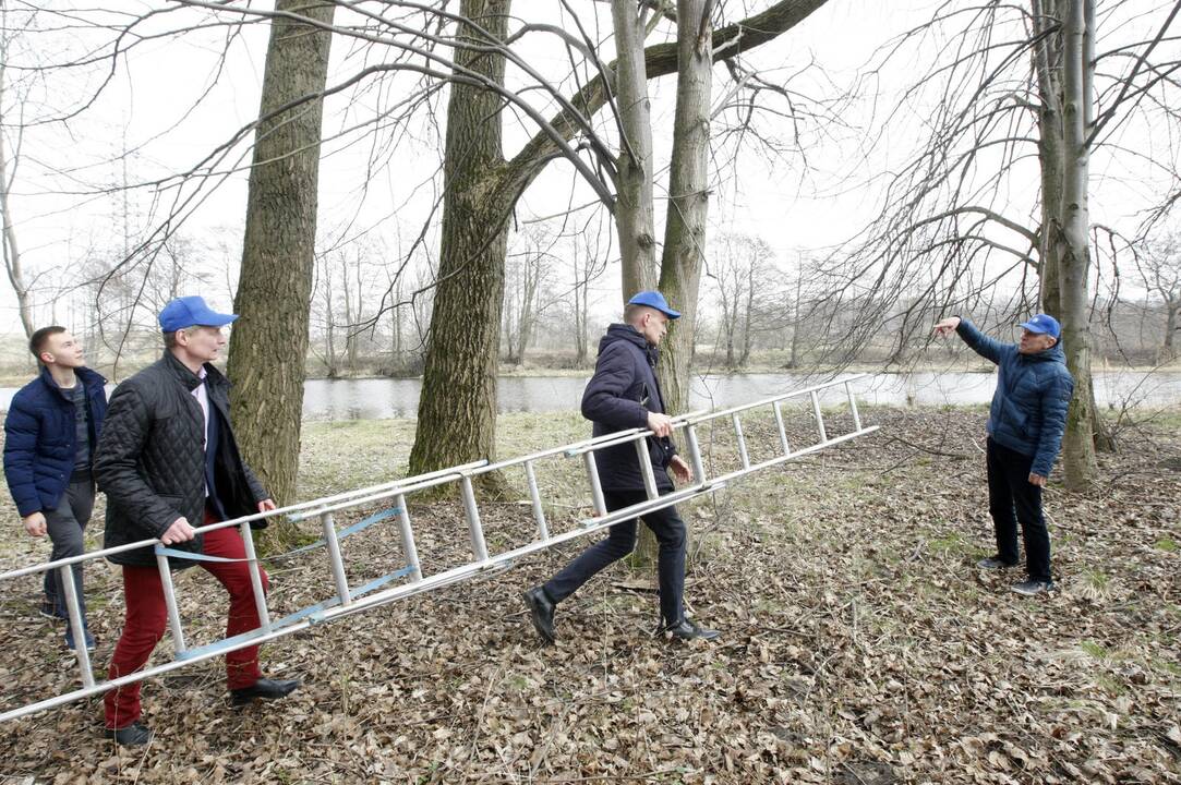 Klaipėdiečiai grąžina skolą gamtai