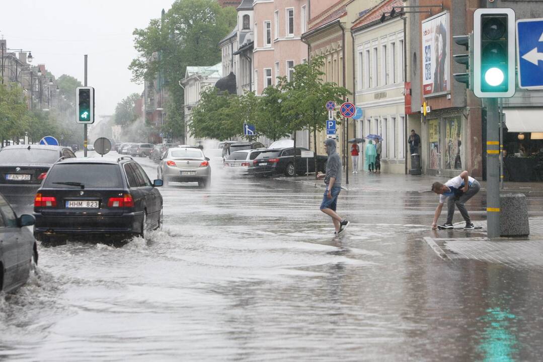 Liūtis Klaipėdoje