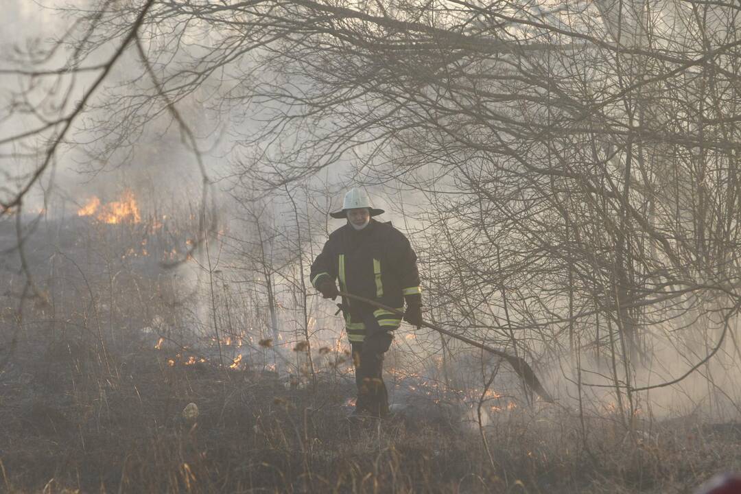 Klaipėdoje degė žolė