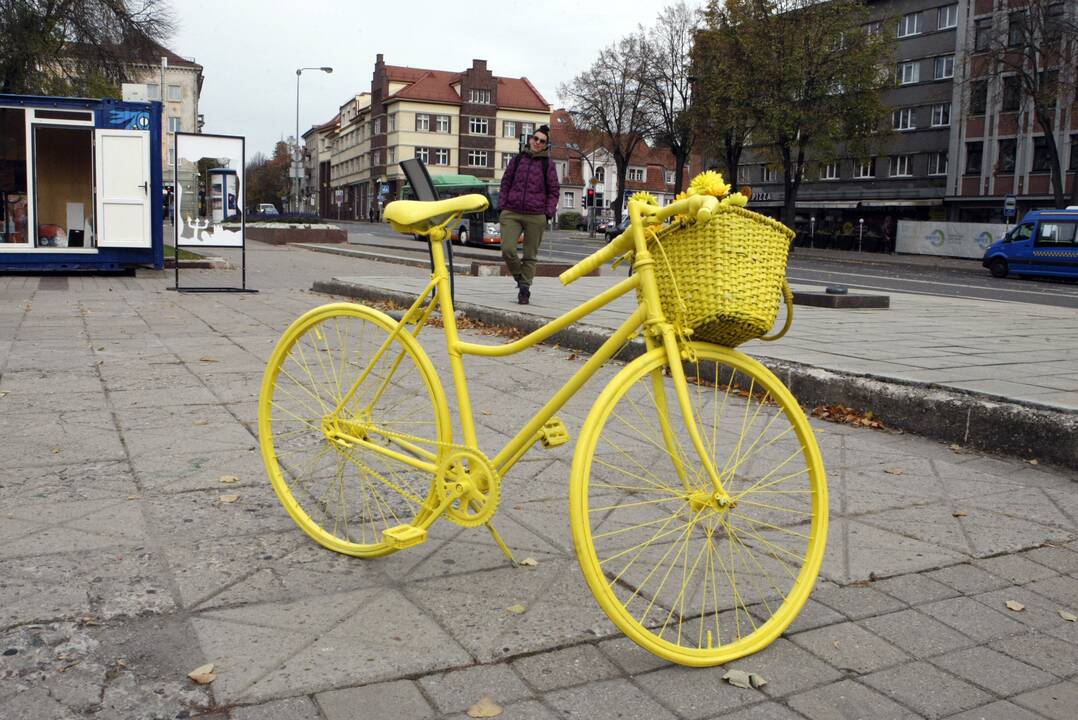 Uostamiesčio aikštės pražydo geltonai