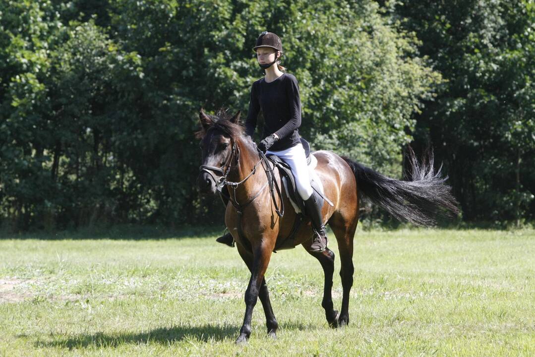 Priekulės miesto ir žirgų sporto šventė