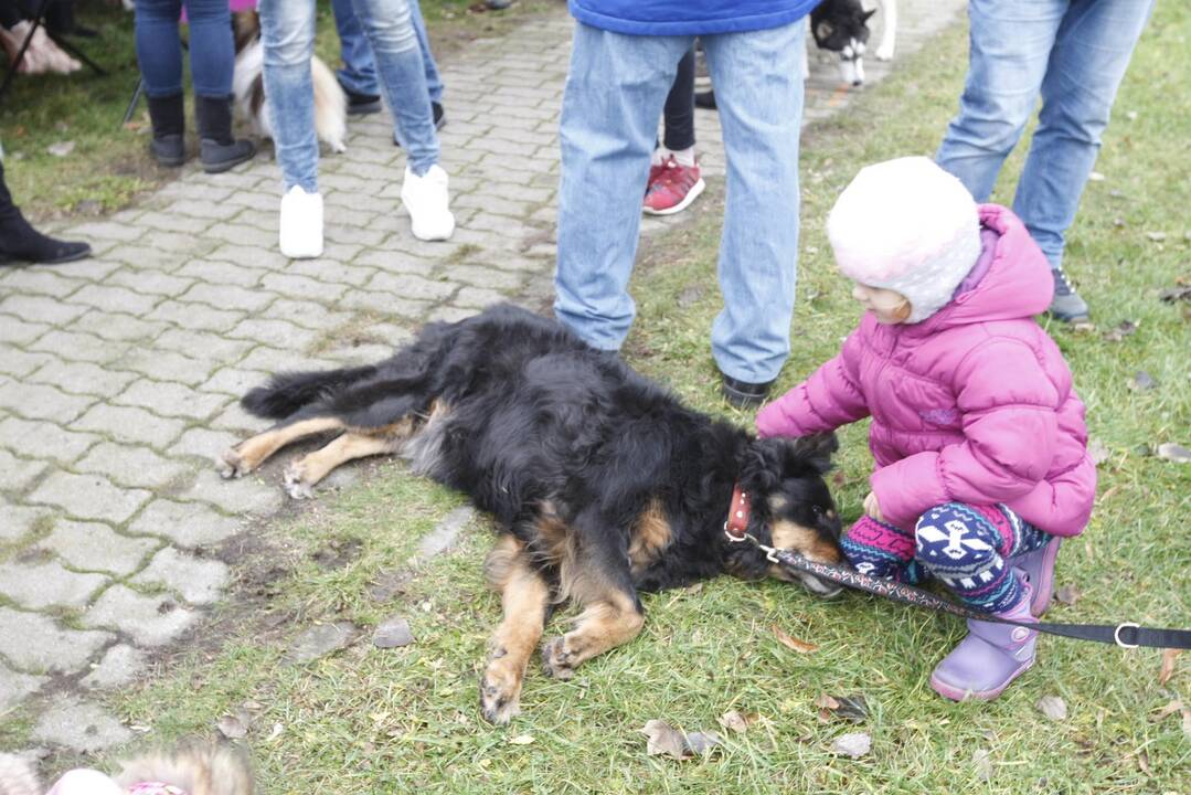 Keturkojų Kalėdos Klaipėdoje