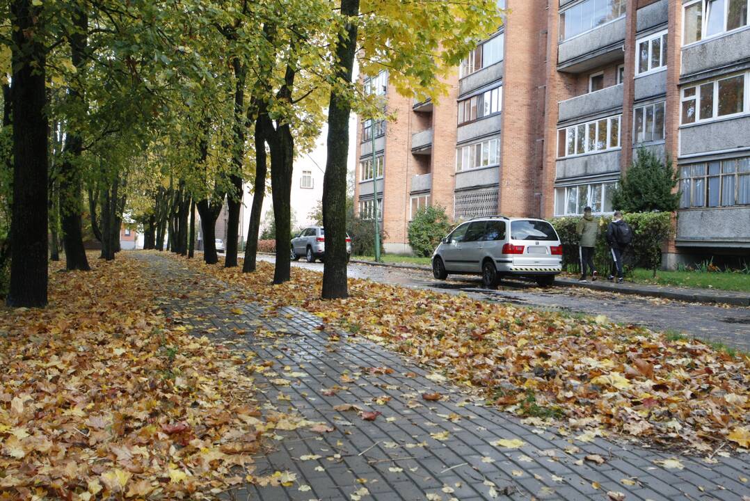 Prapliupus lietui, krintantys lapai pridaro bėdų: technika gatvėse sukinėsis dažniau