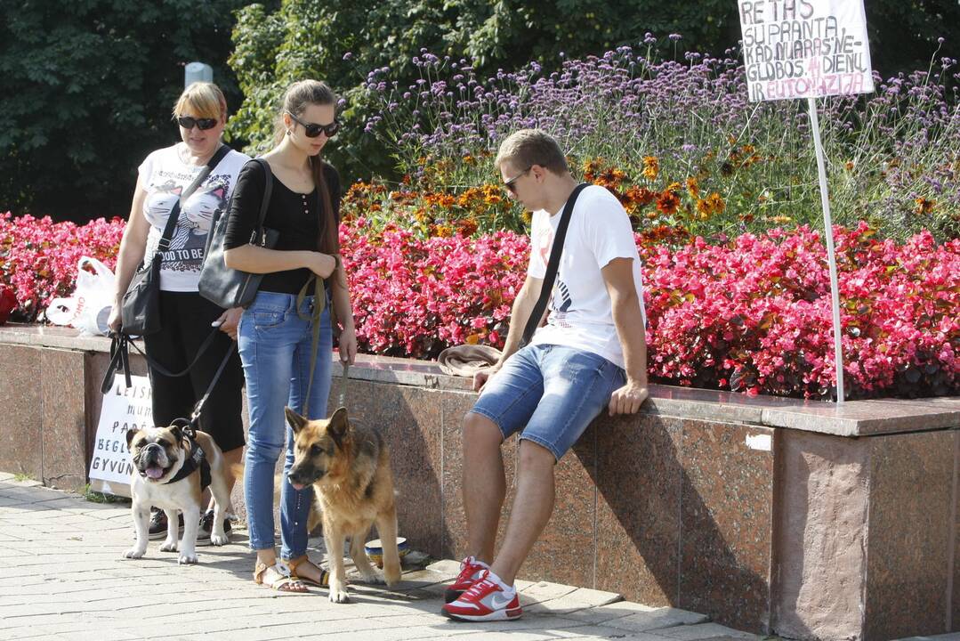 Gyvūnų mylėtojų piketas