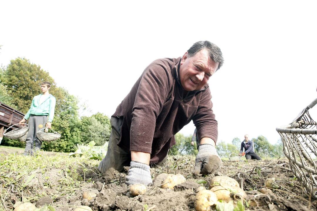 Žiemą laukia kainų šokas