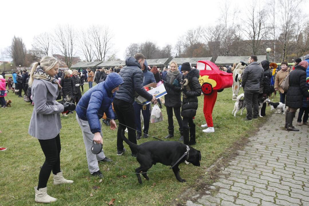Keturkojų Kalėdos Klaipėdoje