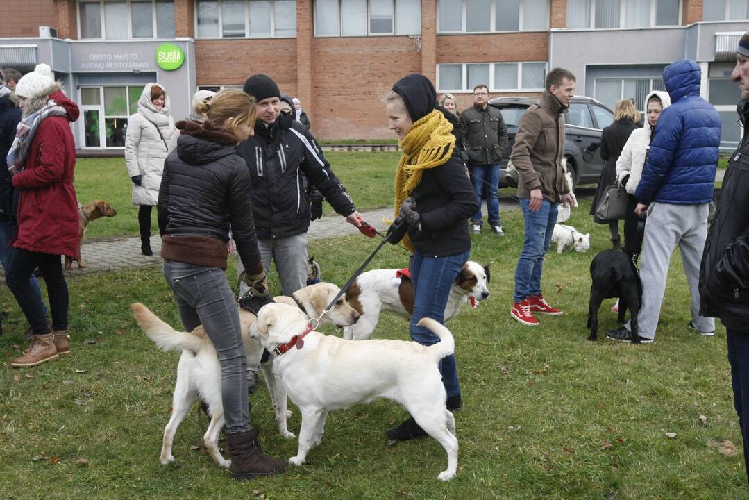 Keturkojų Kalėdos Klaipėdoje