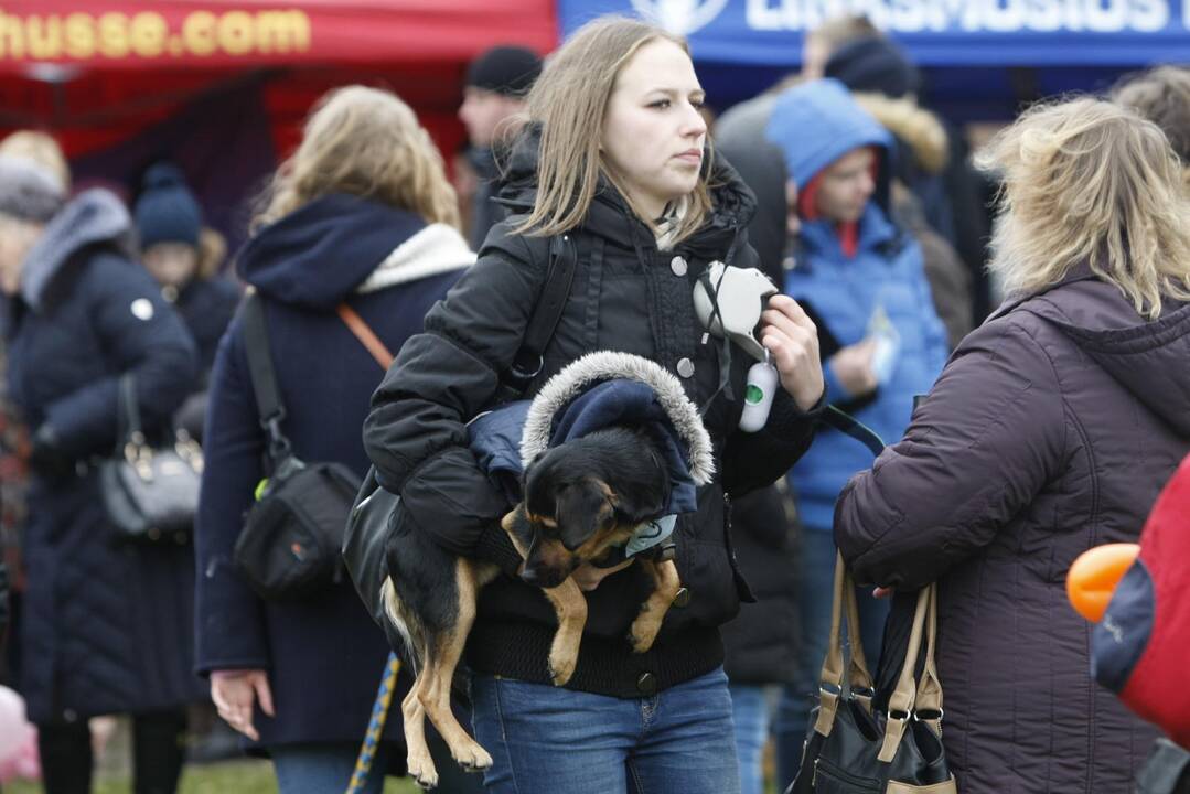 Keturkojų Kalėdos Klaipėdoje