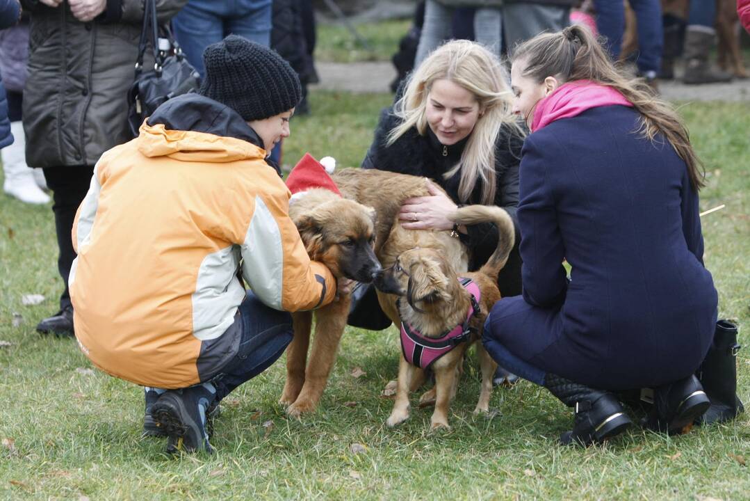 Keturkojų Kalėdos Klaipėdoje