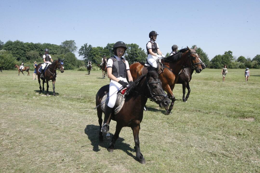 Priekulės miesto ir žirgų sporto šventė