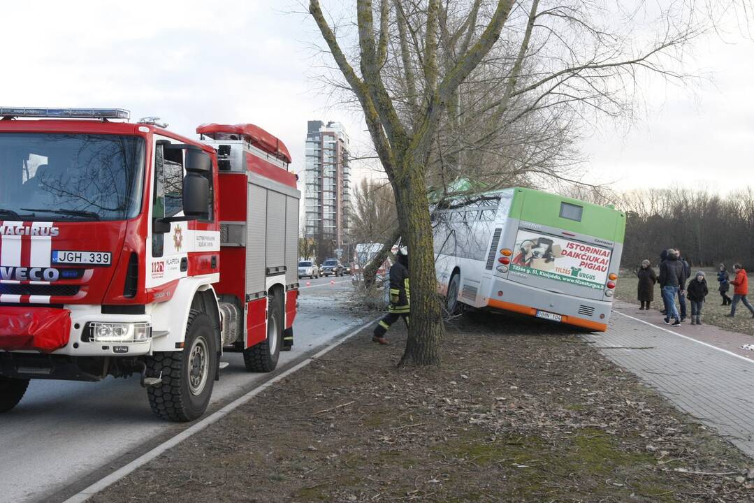 Kraupi avarija Klaipėdoje: autobusas rėžėsi į medį, sužeisti keleiviai 