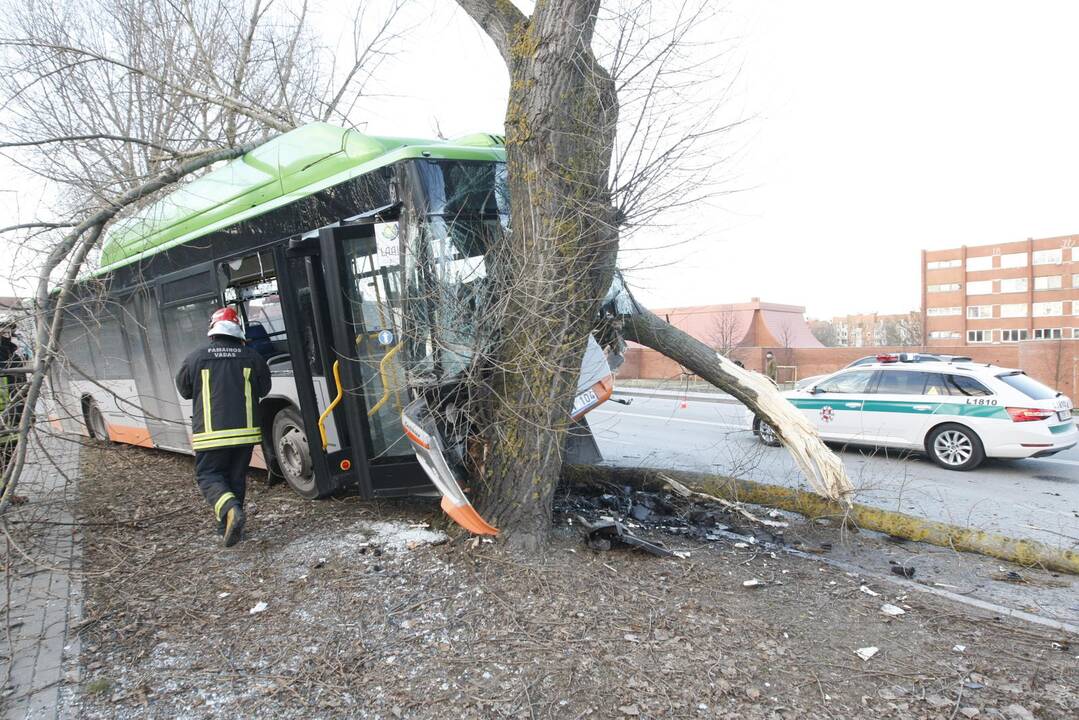 Kraupi avarija Klaipėdoje: autobusas rėžėsi į medį, sužeisti keleiviai 