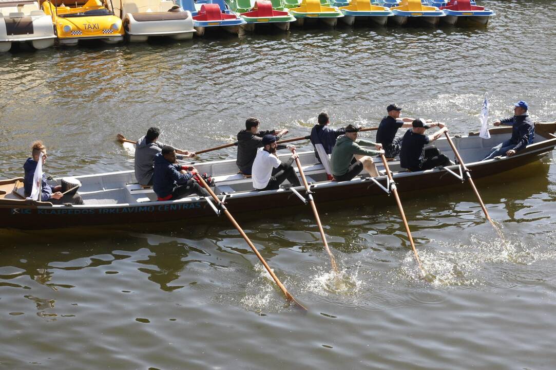 Vikingų valčių varžybos Dangėje