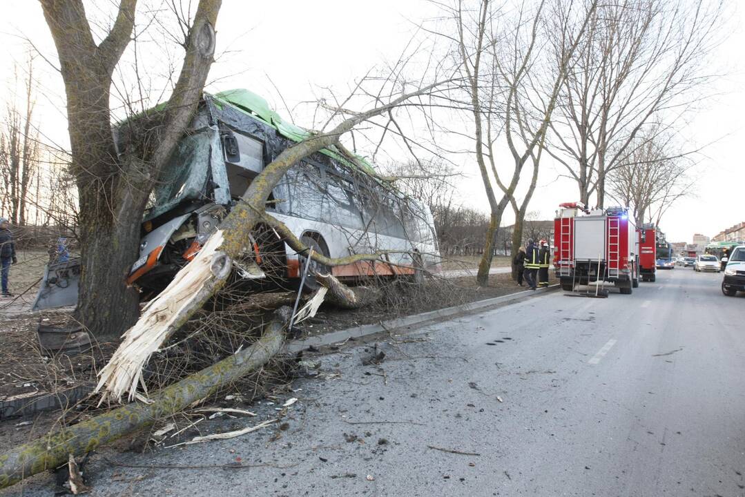 Kraupi avarija Klaipėdoje: autobusas rėžėsi į medį, sužeisti keleiviai 