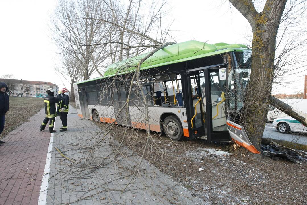 Kraupi avarija Klaipėdoje: autobusas rėžėsi į medį, sužeisti keleiviai 