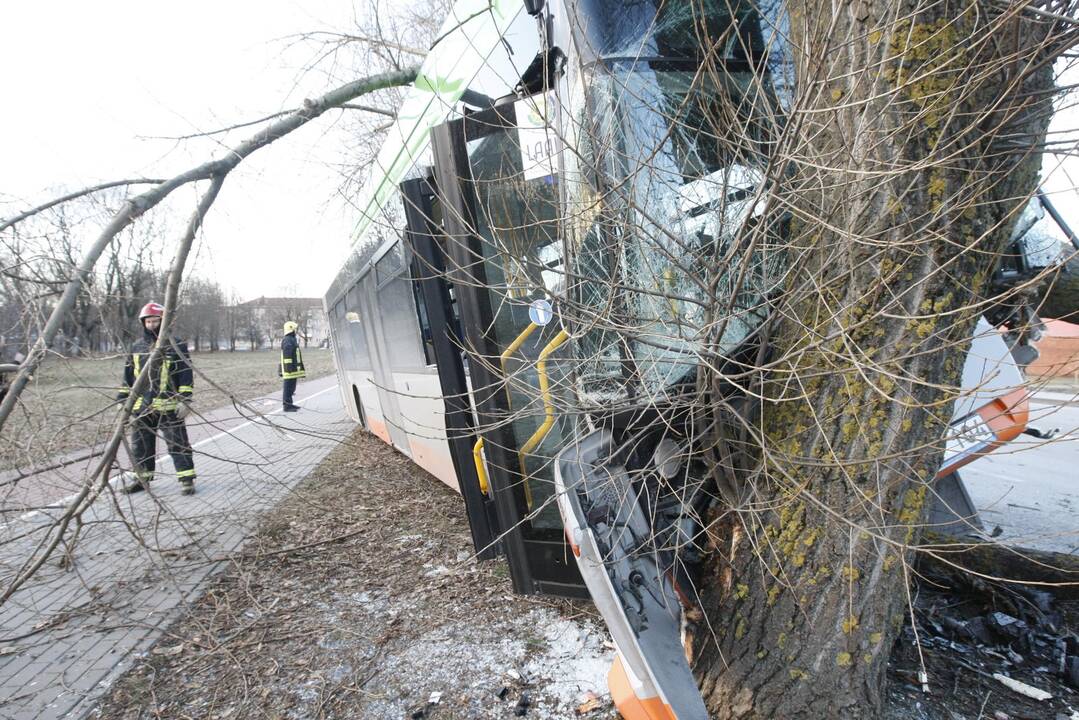 Kraupi avarija Klaipėdoje: autobusas rėžėsi į medį, sužeisti keleiviai 