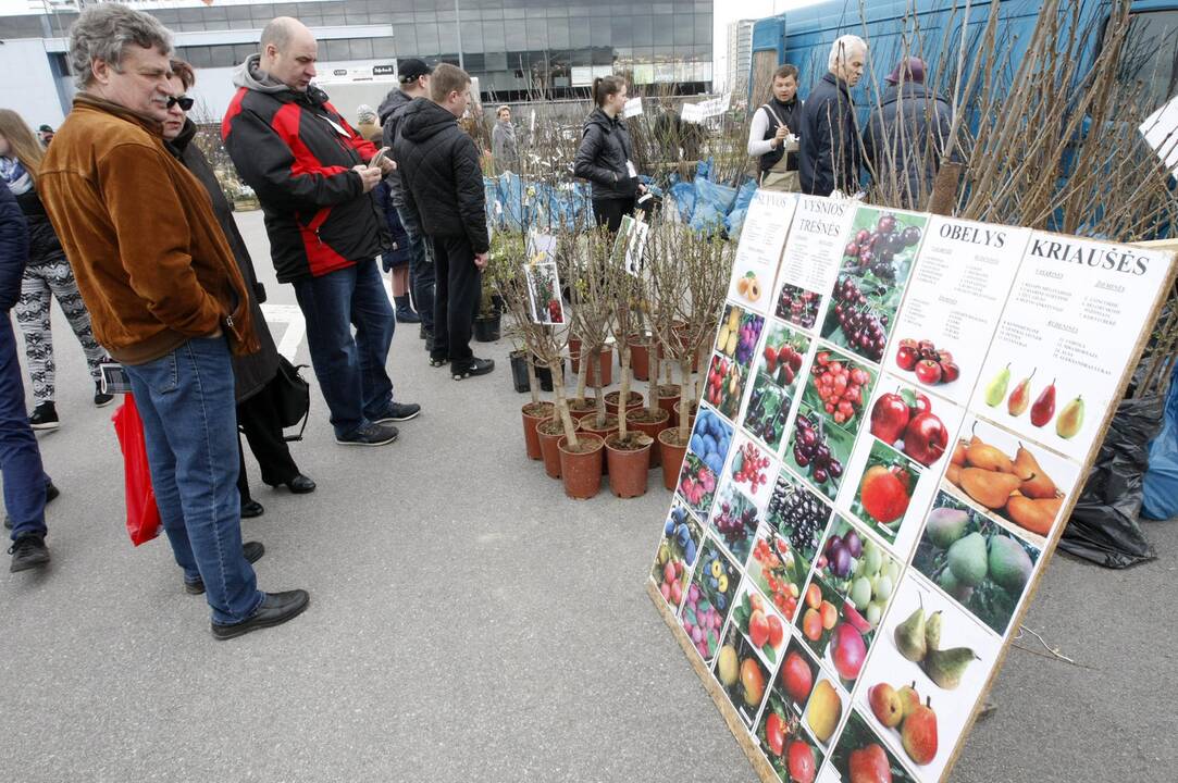 Klaipėdiečiai domėjosi aplinkos tvarkymo naujovėmis