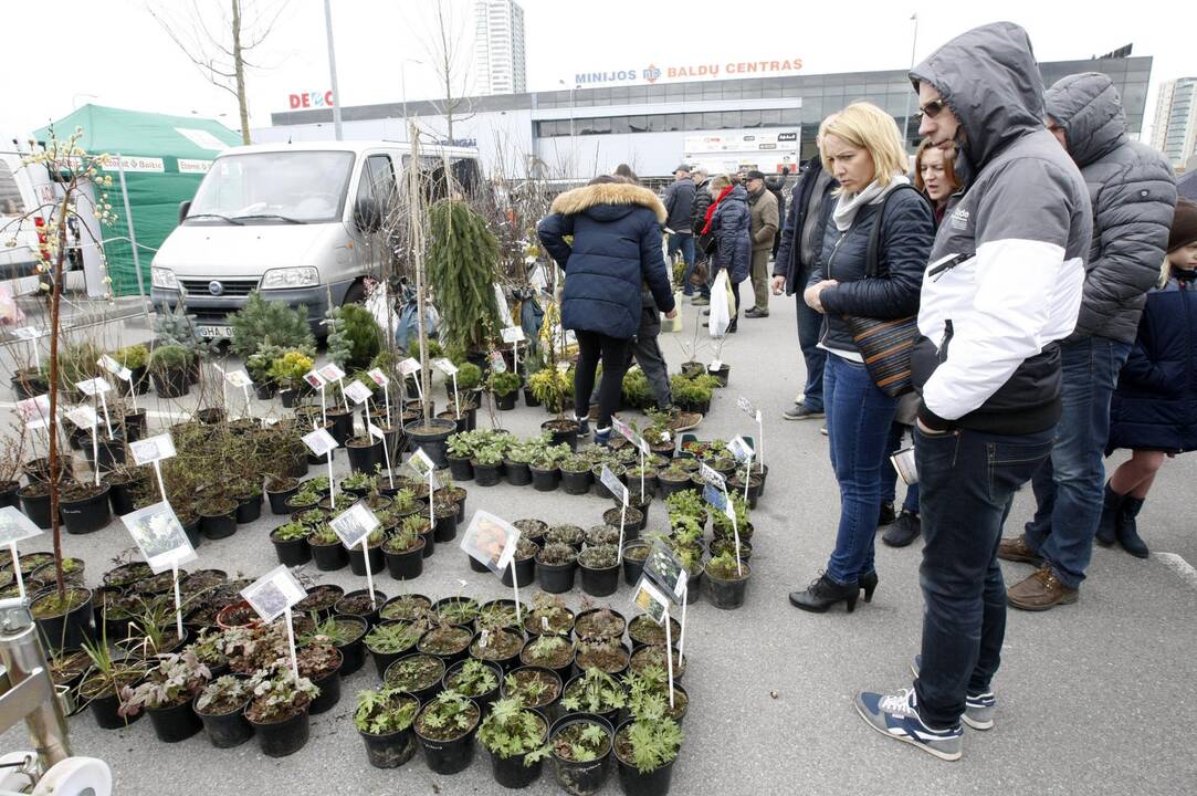 Klaipėdiečiai domėjosi aplinkos tvarkymo naujovėmis