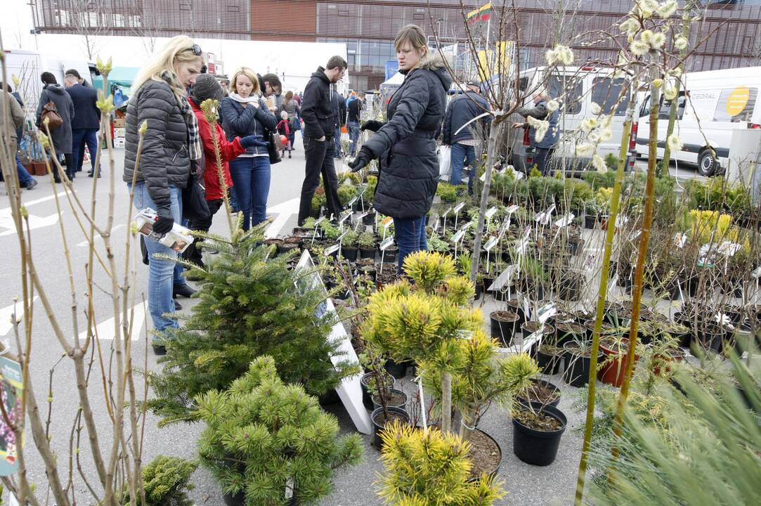 Klaipėdiečiai domėjosi aplinkos tvarkymo naujovėmis