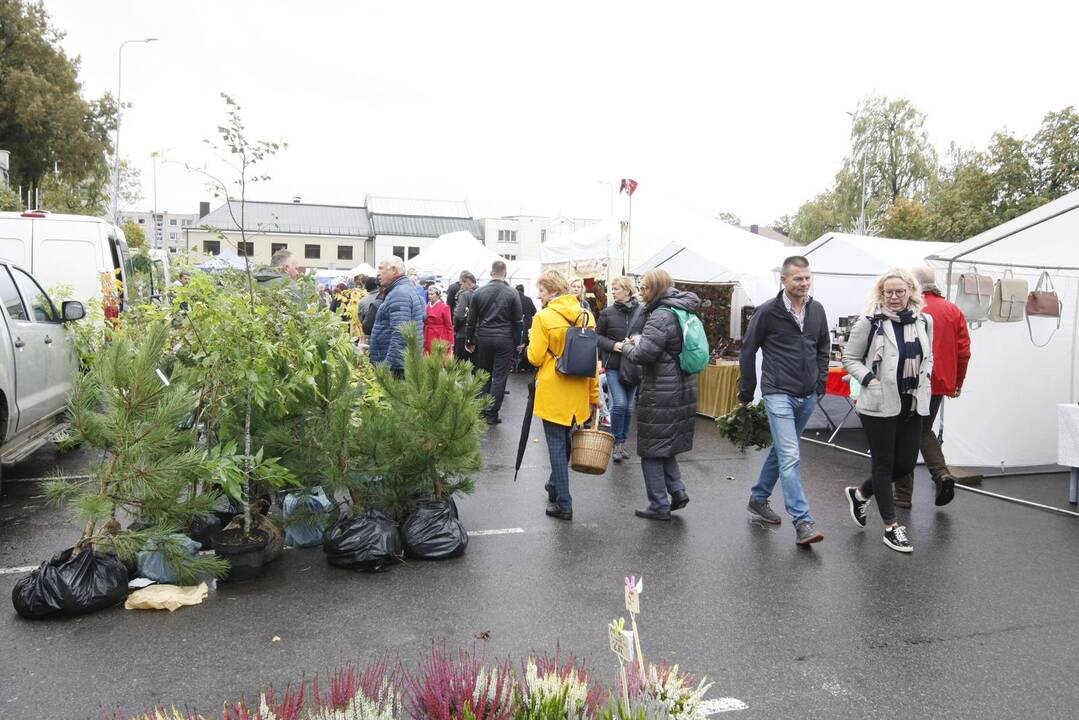 Rudens derliaus ir moliūgo šventė Kretingoje