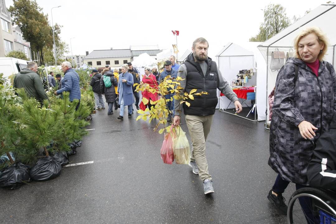 Rudens derliaus ir moliūgo šventė Kretingoje