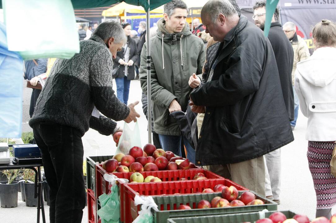 Klaipėdiečiai domėjosi aplinkos tvarkymo naujovėmis