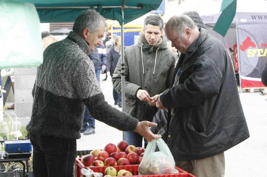 Klaipėdiečiai domėjosi aplinkos tvarkymo naujovėmis