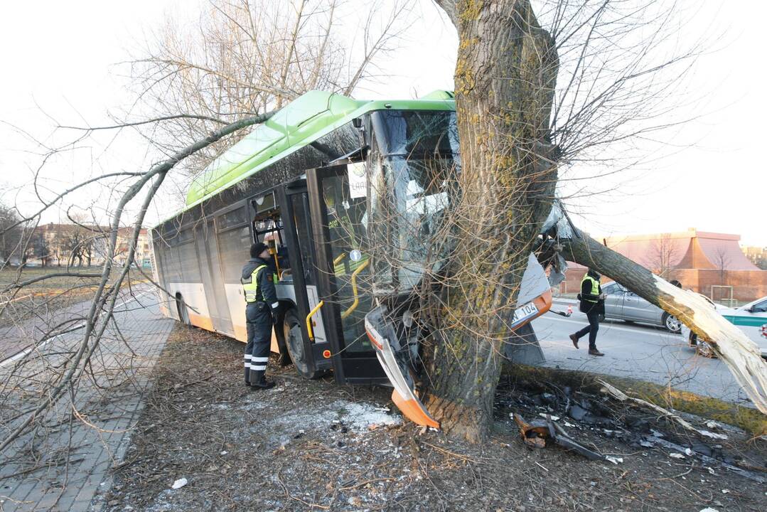 Kraupi avarija Klaipėdoje: autobusas rėžėsi į medį, sužeisti keleiviai 