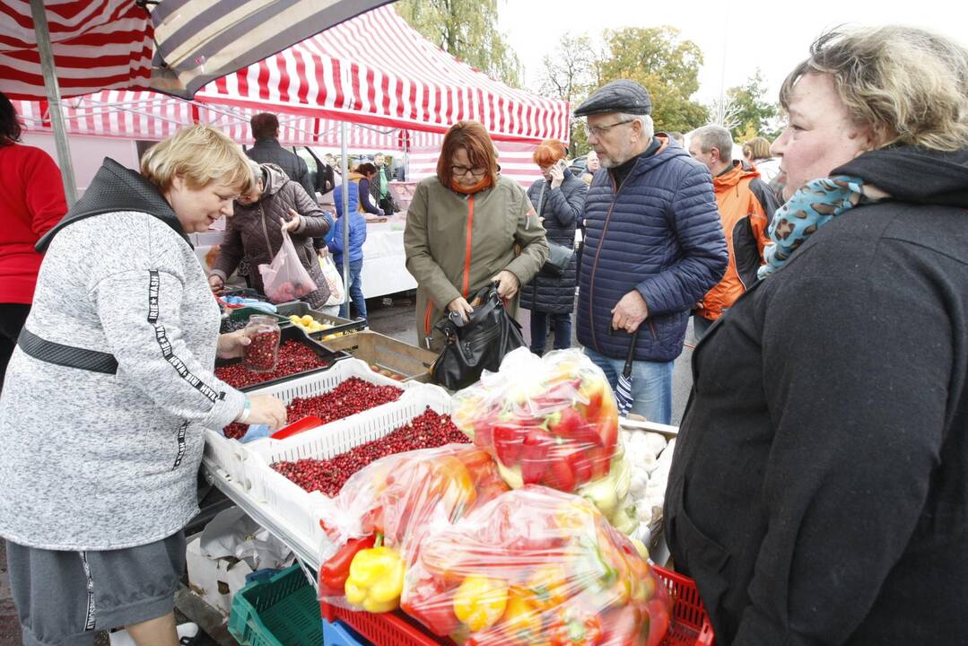 Rudens derliaus ir moliūgo šventė Kretingoje