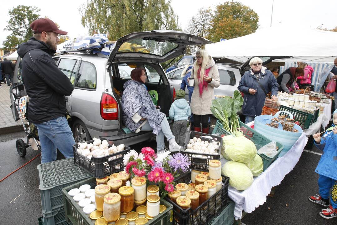 Rudens derliaus ir moliūgo šventė Kretingoje