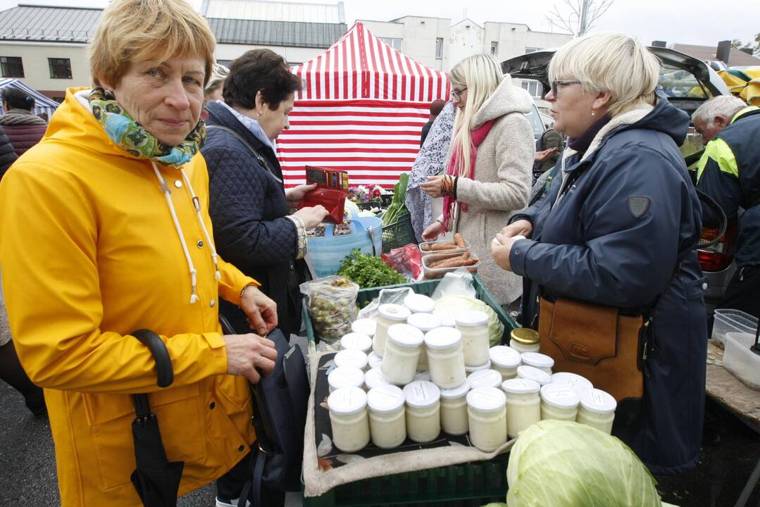 Rudens derliaus ir moliūgo šventė Kretingoje