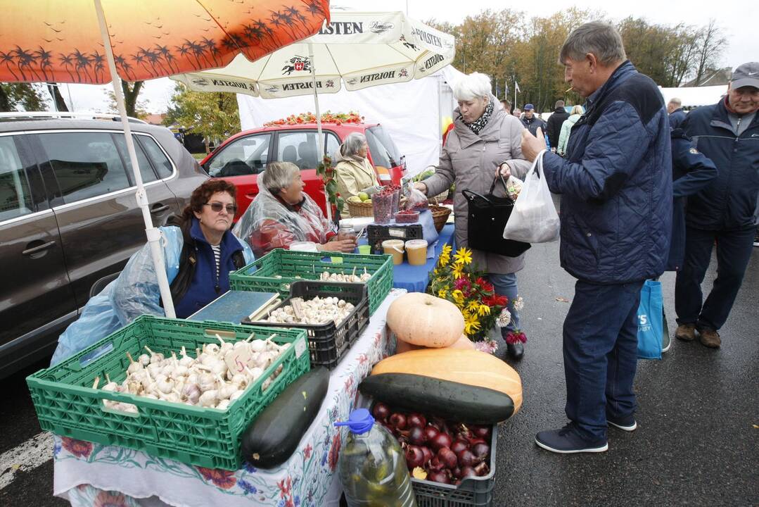 Rudens derliaus ir moliūgo šventė Kretingoje