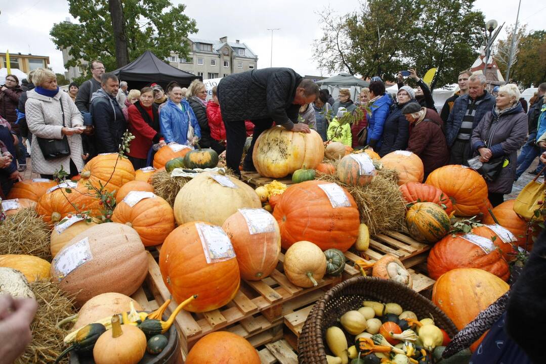 Rudens derliaus ir moliūgo šventė Kretingoje