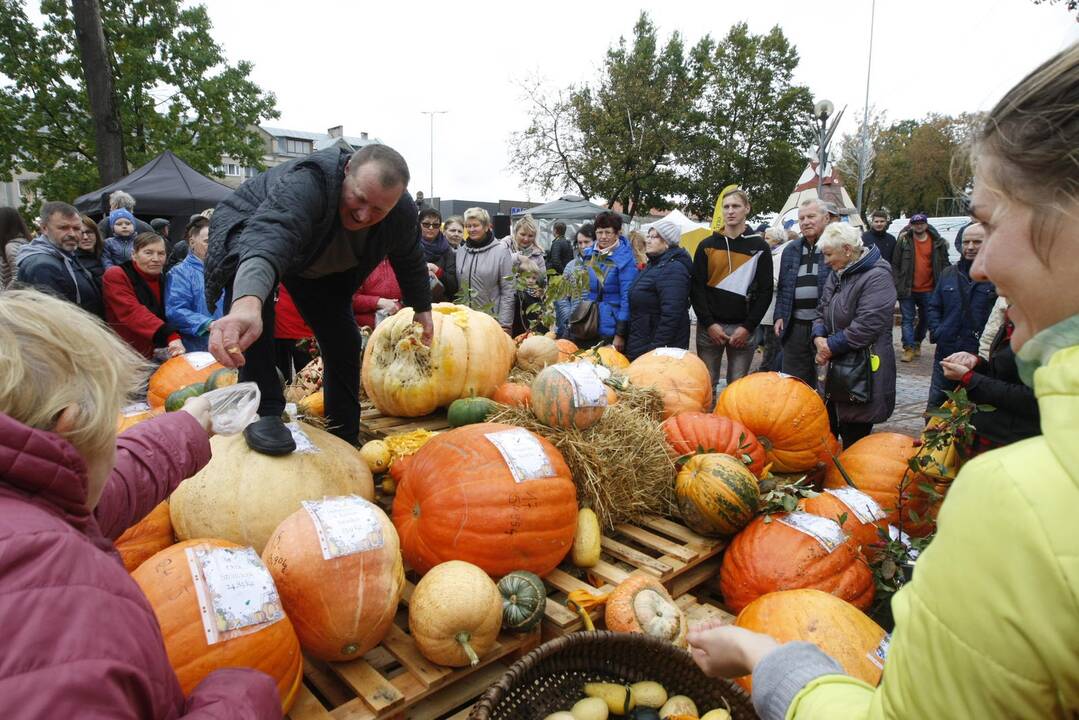 Rudens derliaus ir moliūgo šventė Kretingoje