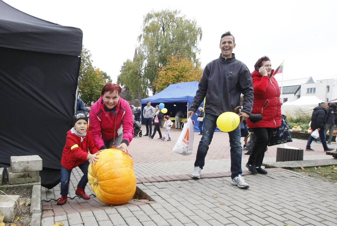 Rudens derliaus ir moliūgo šventė Kretingoje