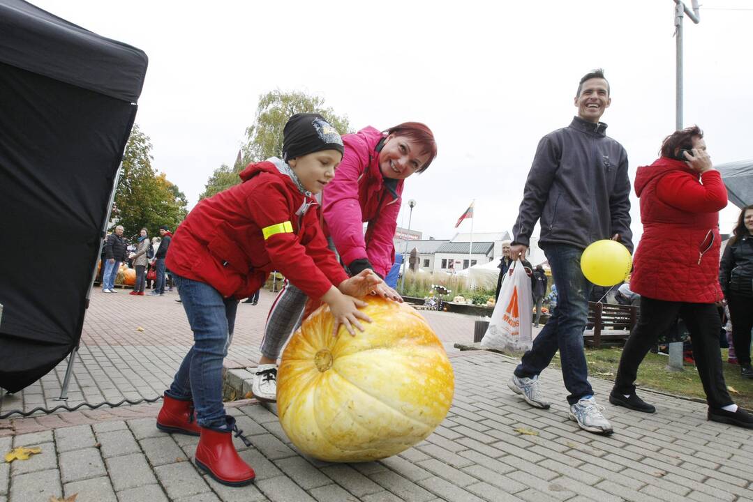 Rudens derliaus ir moliūgo šventė Kretingoje